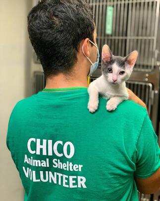 Volunteer - Chico Animal Shelter